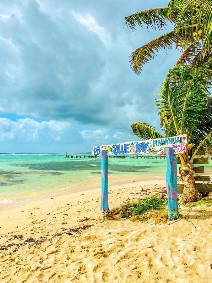 Eco Cabanas Bluekay Mahahual Esterno foto